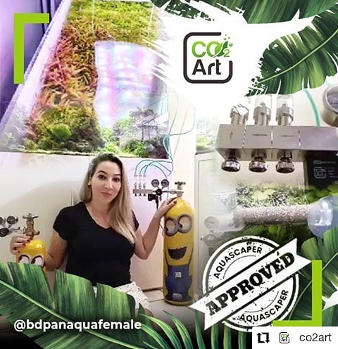 Post Instagram di @bdpanaquafemale