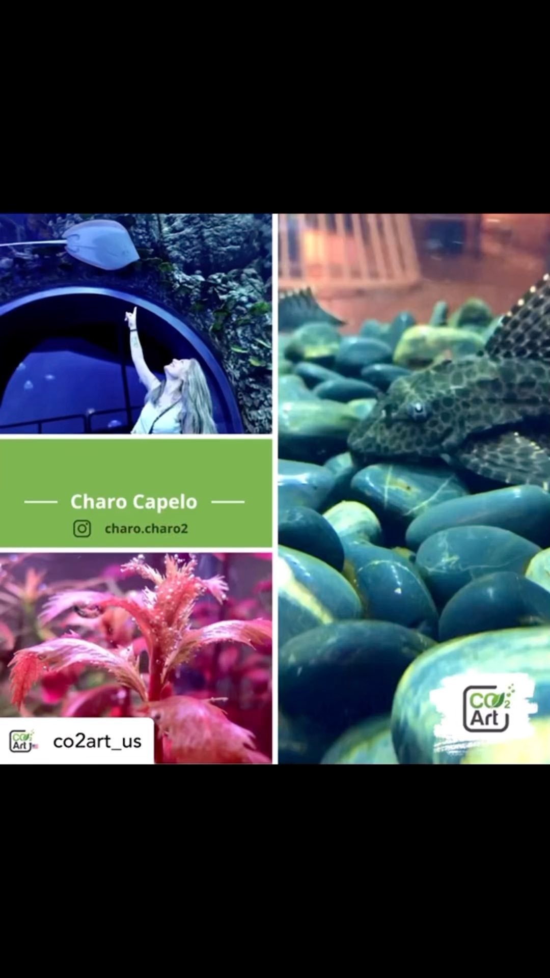 Post Instagram di @charo.charo2