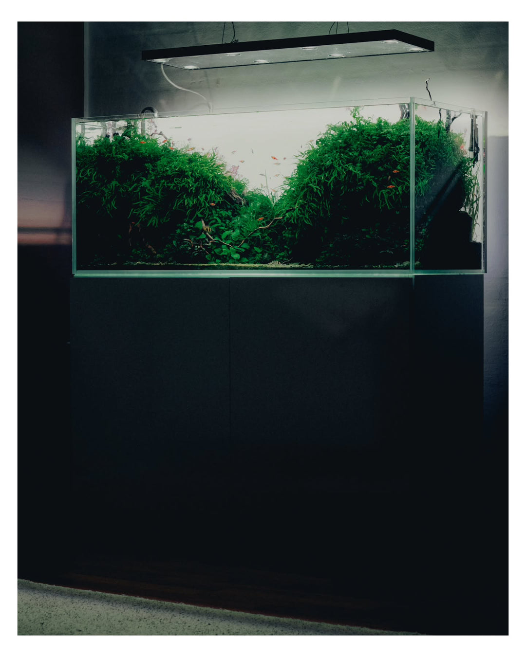 Post Instagram di @dnoerholm