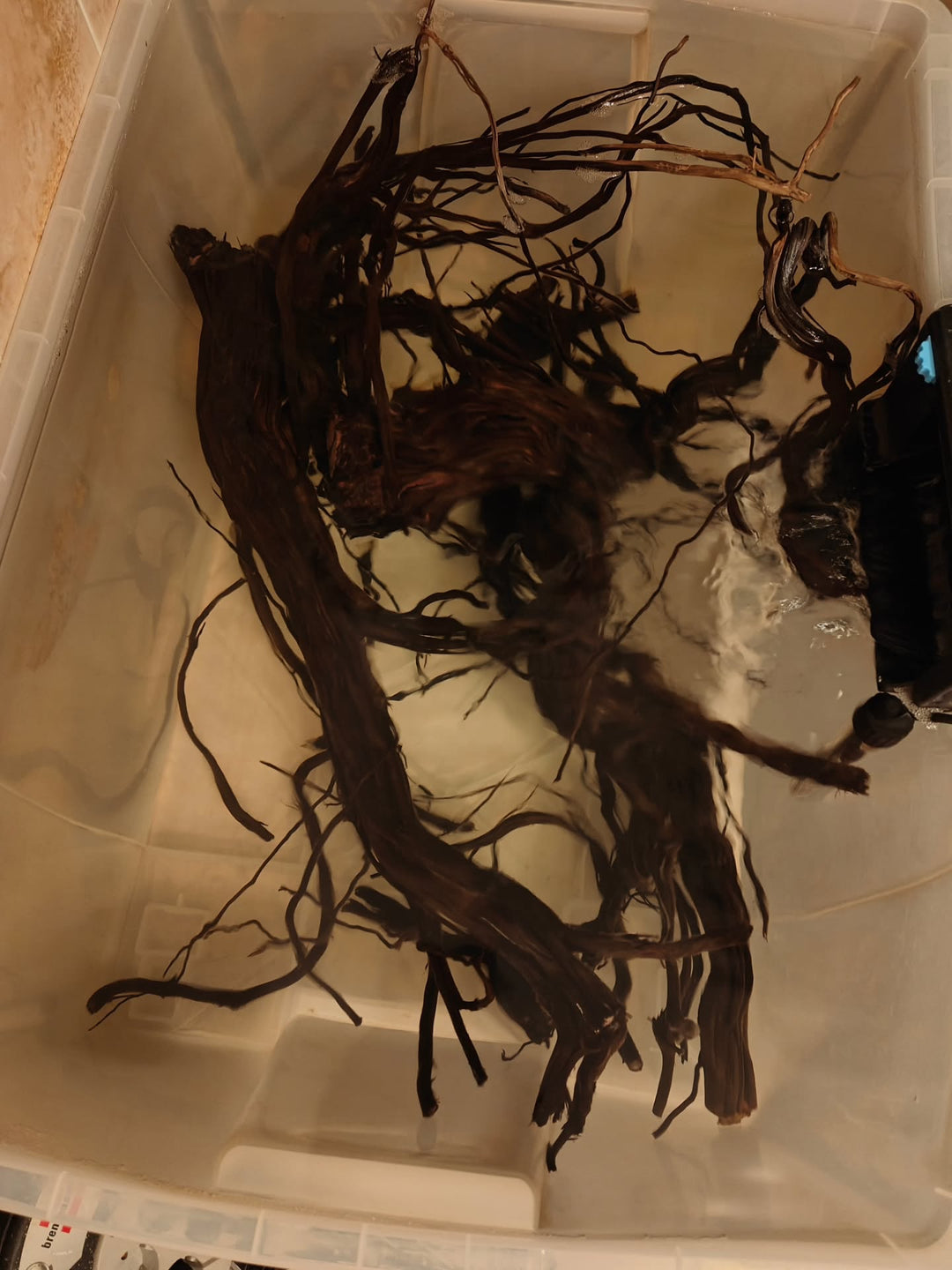 Post Instagram di @aquascapebarendrecht