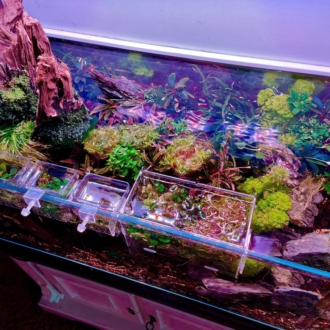 Post Instagram di @aquascapebarendrecht
