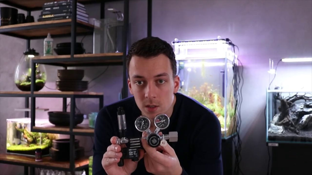 Video YouTube di @mjaquascaping