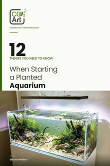 12 cose da sapere quando si avvia un acquario piantumato — e-book